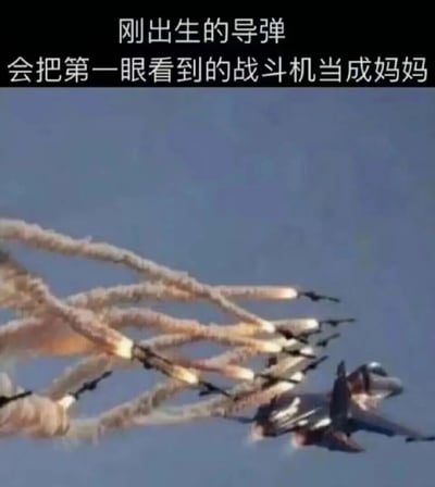 图片展示了一架战斗机在空中飞行，后方有多枚拖着白色烟雾轨迹的导弹正在追击。图片上方配有文字“刚出生的导弹 会把第一眼看到的战斗机当成妈妈”，通过拟人化的幽默手法，将导弹比作刚出生会对第一眼看到的对象产生印记的幼崽，调侃导弹追击战斗机的场景如同幼崽追随母亲，营造出滑稽有趣的效果。