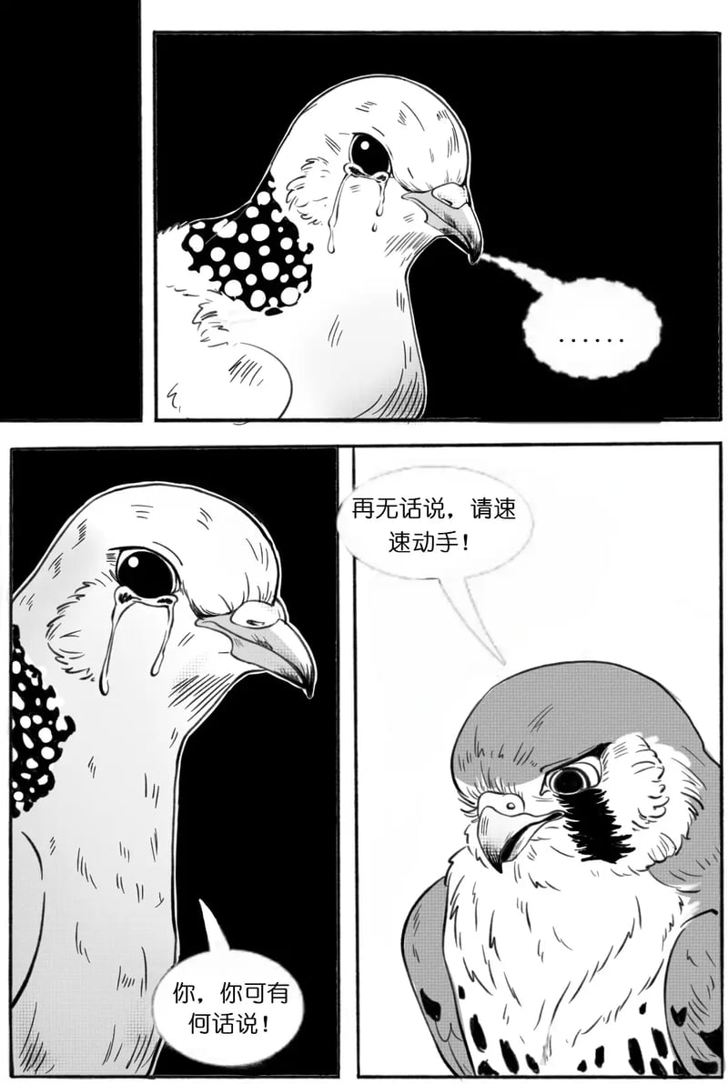 苦命鸳鸯衍生创作