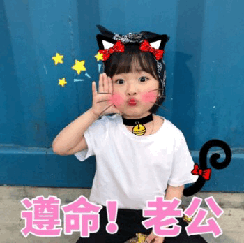 权律二猫咪装比心喊老公表情包