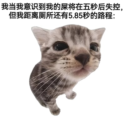 图片展示了一只灰白相间的虎斑猫特写，猫咪双眼圆睁，嘴巴微张，露出紧张又急迫的表情。图片上方配有文字：“我当我意识到我的屎将在五秒后失控，但我距离厕所还有5.85秒的路程：”，通过夸张的时间对比（5秒失控 vs 5.85秒路程）营造出一种幽默的紧急感，展现了日常生活中“人有三急”时的狼狈又好笑的场景。