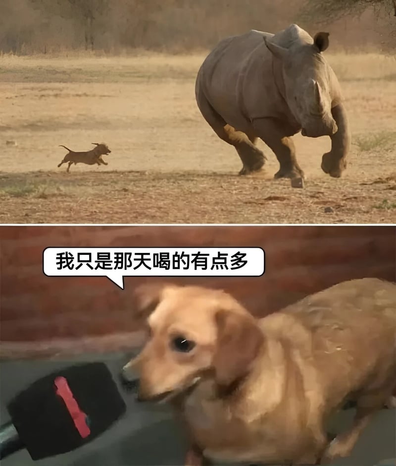 犀牛
