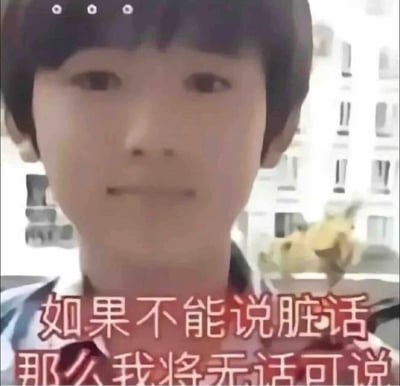 这是一张以TFBOYS成员王源早期的视频截图为基础制作的表情包，图片里王源面无表情直视镜头，头顶还有三个代表无语的白点，图片下方配有红色文字“如果不能说脏话，那么我将无话可说”，精准表达了在遇到让自己极度无语、气愤的事情时，因为不能发泄脏话而只能沉默的憋屈情绪，常被用于社交场景中吐槽不满。