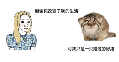 这是一张左右拼接的静态梗图，左侧是一位有着金色长发、身穿蓝底白花连衣裙的卡通女孩，她脸颊泛红，神情带着感激与动容，似乎将自身生活的改变归功于某个对象；右侧是一只趴伏着的兔狲，它眼神呆滞，一脸茫然，完全没有意识到自己被赋予了“改变他人生活”的意义。图中上方的文字是女孩的致谢语“谢谢你改变了我的生活”，右下方的文字是兔狲的回应“可我只是一只路过的野猫”，两者形成了强烈的反差：女孩沉浸在自我感动的情绪中，而被感谢的对象对此毫无认知，只是偶然路过的存在，这种错位的认知制造出荒诞又搞笑的效果，常用于调侃一厢情愿的自我感动场景。
