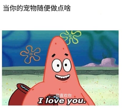 这是一张改编自动画《海绵宝宝》的网络表情包，顶部配文“当你的宠物随便做点啥”，图中派大星睁着圆溜溜的眼睛，咧嘴露出开心的笑容，下方配有“我喜欢你 I love you.”的文字，生动地表现出宠物主人看到宠物做任何小事都会感到无比喜爱、充满宠溺的心态，是用来调侃铲屎官对宠物迷之喜爱的趣味表情包。