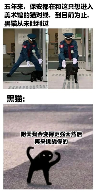 这是一组趣味图文内容，由实拍图和改编卡通图组合而成：上方两张实拍图展示了日本某美术馆的保安摆出阻拦姿势，试图挡住想要进入馆内的黑猫，配文说明五年来保安一直和这只执着的黑猫“对线”，黑猫从未成功进入；下方是一张拟人化的卡通黑猫图，配文是黑猫的“宣言”——“明天我会变得更强大然后再来挑战你的”，用拟人化的方式将黑猫塑造成不服输的形象，制造出搞笑又温馨的趣味效果，展现了黑猫执着想进入美术馆、保安坚守岗位阻拦的有趣日常。