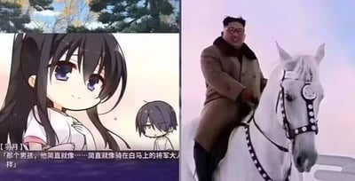图片左侧为动漫场景，一位紫瞳黑长发女孩双手交叠于胸前，面带憧憬地说“那个男孩，他简直就像……简直就像骑在白马上的将军一样”，下方有一个低头害羞的小男孩；右侧为现实场景，一位穿着棕色大衣的男子骑在白马上，面带微笑。通过左右对比形成“动漫浪漫想象”与“现实画面”的幽默反差效果。