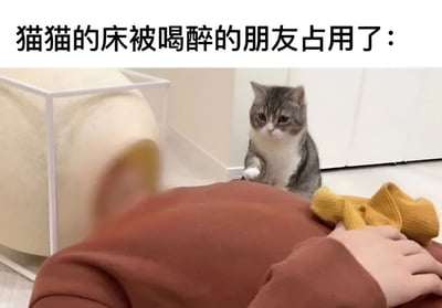 图片上方配有文字'猫猫的床被喝醉的朋友占用了：'，下方是一张实拍照片。画面中，一只灰白色的猫咪站在地板上，前爪微微抬起，正注视着一名躺在地上的人。该人身穿棕色上衣，头部因模糊处理无法看清，身旁放着一件黄色物品。猫咪的表情显得有些委屈和困惑，似乎在不满自己的床（一个白色带透明边框的软垫立方体）被醉酒的朋友占用。整体场景幽默地展现了宠物与主人朋友间的有趣互动。