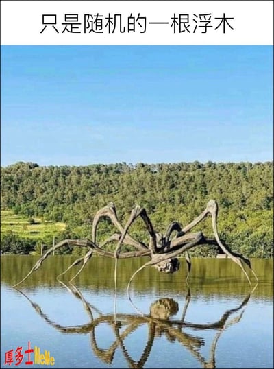 图中一根形状奇特的浮木漂浮在湖面，因为在水中的反射，整体形成了类似一只巨型蜘蛛趴伏在湖上的视觉错觉。上方的文字“只是随机的一根浮木”属于幽默调侃，利用视觉误导和人们对蜘蛛的本能恐惧，制造有趣或轻微惊悚的气氛。图片左下角有“厚多士MeMe”水印。整体属于视觉双关/心理暗示类的网络梗图。