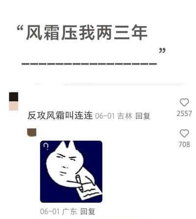 图片展示了一个社交媒体评论区场景，上方是主贴文字“风霜压我两三年”，下方有两条评论。第一条评论“反攻风霜叫连连”来自吉林用户，获得2557个点赞；第二条评论来自广东用户，附带一个经典的问号猫表情包，该表情包中卡通猫眉头紧锁，手持纸张，头顶有问号，获得708个点赞。整体呈现出网络用户对略带文艺伤感的主贴进行幽默调侃的互动氛围。