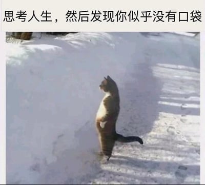 暂无描述