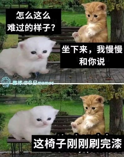 这是一张上下分栏的连环梗图，上半部分中，表情低落的白色小猫站在公园长椅旁，橘色小猫见状关切询问：“怎么这么难过的样子？”，随后邀请白猫“坐下来，我慢慢和你说”；下半部分是白猫坐到长椅后，橘猫淡定说出真相“这椅子刚刚刷完漆”，通过真实小猫的互动配合对话文字，打造出看似好心安慰实则坑人的搞笑乌龙场景，以反转剧情制造戏谑笑点。