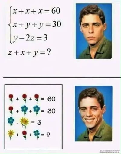 图片分为上下两部分进行对比。上半部分左侧是一组数学方程：3x=60、x+2y=30、y-2z=3，最终问题为z+x+y=？，右侧是一名男子的严肃头像；下半部分左侧将变量替换为花朵图案：3朵红花=60、1朵红花+2朵蓝花=30、1朵蓝花-1朵黄花=3，问题变为1朵黄花+1朵红花+1朵三叶草=？，右侧男子头像变为微笑表情。通过数学题与花朵题的形式对比，配合男子表情从严肃到开心的转变，幽默调侃了此类“变量替换套路题”的迷惑性。