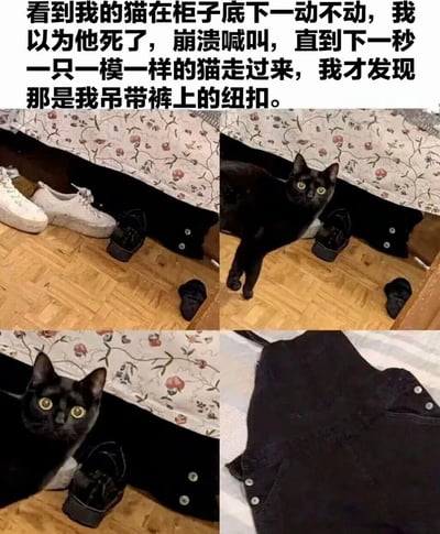 这是一张四格图文混排的搞笑宠物梗图。上方文字描述了铲屎官的乌龙经历：看到柜子底下有个黑色物体一动不动，误以为是自家猫咪去世而崩溃喊叫，直到另一只一模一样的黑猫走过来，才发现那其实是吊带裤上的纽扣。四格图片依次展示：1. 柜子底下视角，可见木地板、碎花床单下摆和疑似猫咪的黑色纽扣；2. 黑猫从柜子下走出，眼神明亮；3. 黑猫抬头看向镜头的特写，表情好奇；4. 吊带裤纽扣的近景特写，证实其与黑猫毛色、形状相似。整体通过真实场景拍摄和文字叙事，营造出因光线和视角造成的搞笑误会，充满生活气息和宠物主人的可爱焦虑。