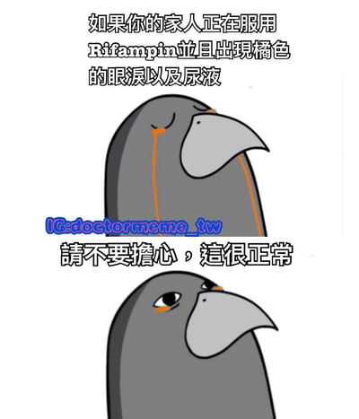 这是一张两格漫画风格的健康科普图片，上方格子中一只灰色卡通鸟流着橘色的眼泪，配文'如果你的家人正在服用Rifampin并且出现橘色的眼泪以及尿液'。下方格子中同一只鸟表情变得平静，配文'请不要担心，这很正常'。图片中间有蓝色水印文字'IG:doctormeme_tw'。