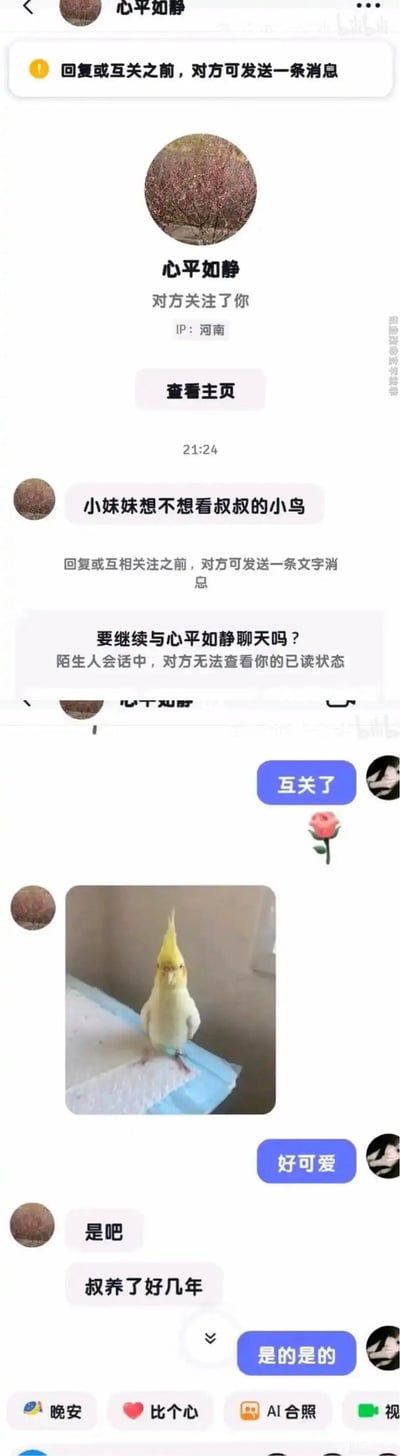 整张图为竖版社交平台私信聊天界面截图，上方显示陌生用户“心平如静”的账号信息，标注对方关注了接收消息的用户，IP属地为河南，平台提示回复或互关前对方仅可发送一条消息。该用户在21:24发送的第一条消息为“小妹妹想不想看叔叔的小鸟”，该表述普遍带有低俗暗示，接收方选择和对方互关后，该用户直接发出了自己饲养的黄化玄凤鹦鹉的实拍照片，后续还补充说明这只鸟自己已经养了好几年，接收方也接连夸赞鹦鹉可爱，对话完全打破了最初的低俗预期，形成强烈的反差笑点。