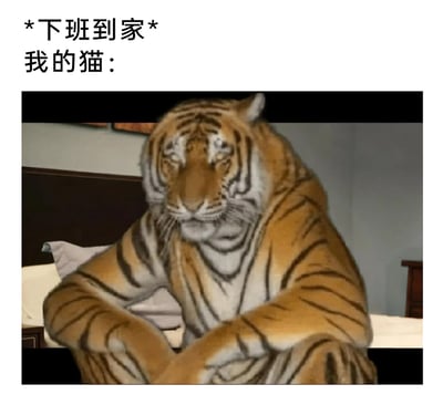 这是一张趣味十足的搞笑表情包，通过上方的文字“*下班到家*
我的猫：”铺垫场景，下方搭配一张经过P图改编的拟人化老虎图片。图中的老虎模仿人类的姿态，双臂交叉抱在胸前坐在床上，眼皮半耷拉着，神情倦怠、一脸生无可恋，用夸张的拟人化手法，将职场人下班回家后的疲惫感投射到宠物身上，调侃主人下班到家时，仿佛猫也和自己一样经历了一天的劳累，精准戳中养猫的职场人的日常共鸣，充满诙谐感。