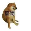这是一张基于经典Doge柴犬表情包进行P图改编的梗图，图中的柴犬瘫坐在地面，表情呈现出颓废无奈的状态，旁边被添加了“废物”二字，用于直白地表达自嘲或者调侃他人的情绪，没有双关、谐音等隐含含义，风格搞笑接地气。