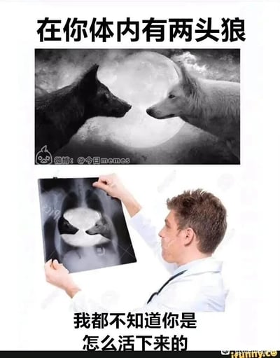 这是一张通过P图合成的搞笑梗图，采用上下拼接的图文混排形式。上方是经典的“在你体内有两头狼”的心灵鸡汤意象图，画面呈现满月背景下，一头黑狼与一头白狼互相对峙的场景，这类意象原本用来隐喻人内心存在的两种对立的特质或情绪。下方则是一位穿着白大褂的医生，双手举着一张X光片查看，X光片的胸腔部位恰好呈现出这两头狼对峙的图案，配文“我都不知道你是怎么活下来的”。这张图将抽象的心灵鸡汤隐喻进行了荒诞的现实化解读，把原本是内心象征的两头狼变成了真实存在于人体胸腔中的实体，用医生从医学角度的吐槽，制造出强烈的反差感与荒诞感，以此反讽这类空洞的心灵鸡汤式表达，让原本的隐喻变得滑稽可笑。