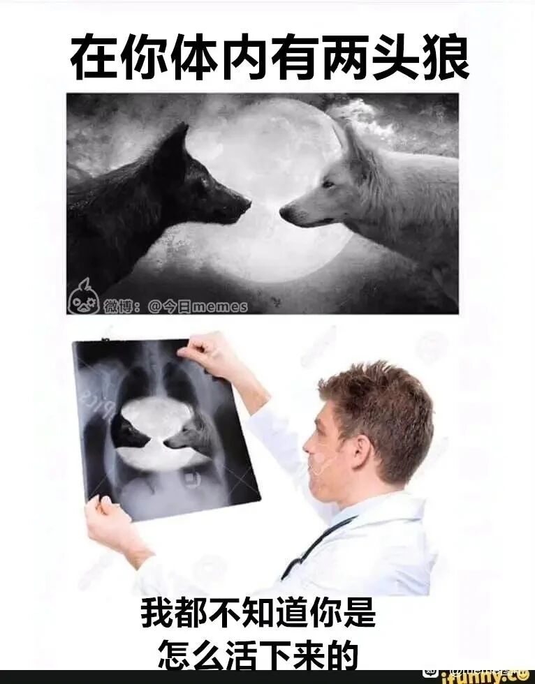 心灵鸡汤隐喻意象