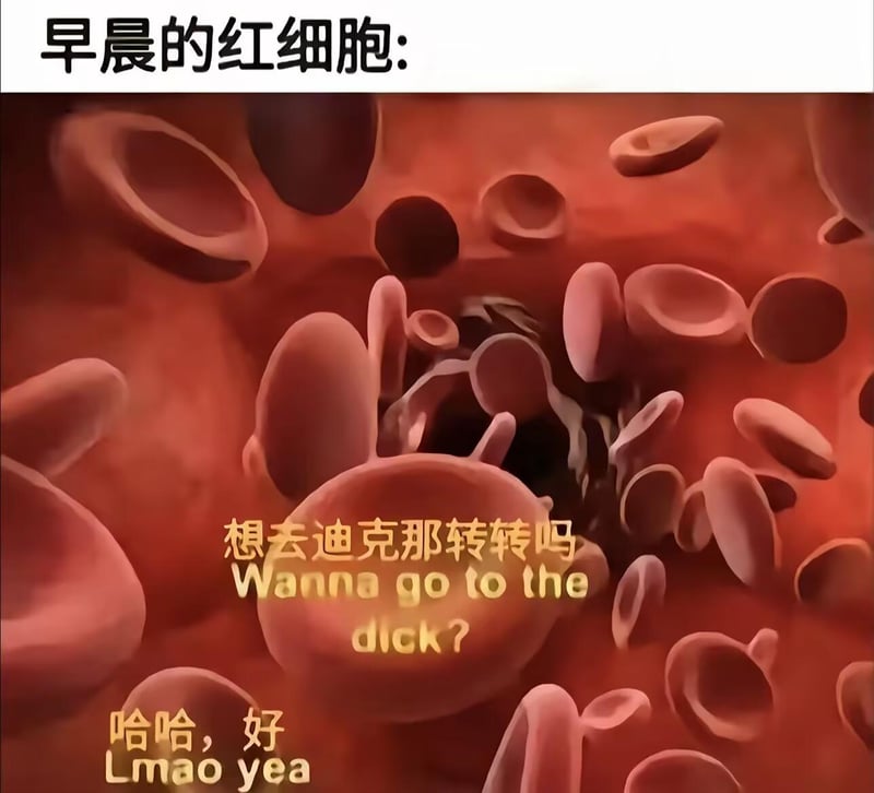 医学科普3D可视化内容