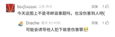 这是一张中文社交媒体平台的评论区截图，展示了两位用户针对某一未展示的、疑似涉及不良引导的内容展开的法律相关讨论。来自江西的用户“bɐɟɕɿɕjuo”于昨天发布评论，提出疑问，认为相关内容属于寻衅滋事范畴，且没有造成实际伤人情况，该评论获得7个点赞；来自重庆的用户“Drache”于8小时前回复，称该内容可能会诱导他人犯下故意伤害罪，并附带了一个狗头表情，该回复获得1个点赞。