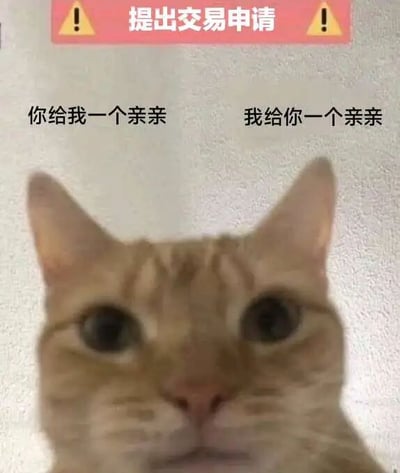 图片主体是一只橘色虎斑猫的特写面部，猫咪眼睛圆睁，正直勾勾地盯着镜头，表情呆萌无辜。图片顶部有一个粉色横幅，左右两侧各有一个黄色感叹号图标，横幅内文字为“提出交易申请”。横幅下方，在猫咪额头位置，有两行黑色文字对称分布，左侧为“你给我一个亲亲”，右侧为“我给你一个亲亲”。整体画面通过猫咪可爱的表情和拟人化的“交易申请”文案，营造出一种俏皮、温馨又略带幽默的氛围，旨在以萌宠形象表达一种亲昵的互动请求。