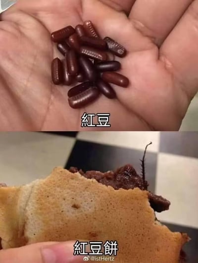 这是一张上下分栏的恶搞梗图：
上图是手掌中握着一堆深棕色胶囊，配文“红豆”，用胶囊的外形恶搞红豆；
下图是被咬了一口的红豆饼，馅料里却伸出一根蟑螂的触须，配文“红豆饼”，制造出强烈的恶心反差感。
图中玩了字面意思的反差梗，用形似红豆的胶囊替代真实红豆，再用红豆饼里出现蟑螂触须的惊悚画面，带来离谱又恶心的搞笑效果。