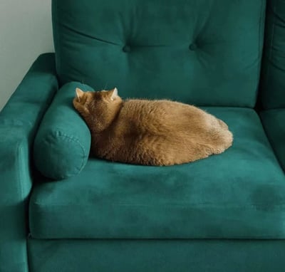 一只橘色的猫咪正蜷缩在墨绿色的绒布沙发上熟睡，它把头埋在沙发的扶手处，整个身体呈现出圆润的弧线，毛发蓬松柔软。沙发的靠背有明显的纽扣装饰，整体画面给人一种温馨舒适的感觉。