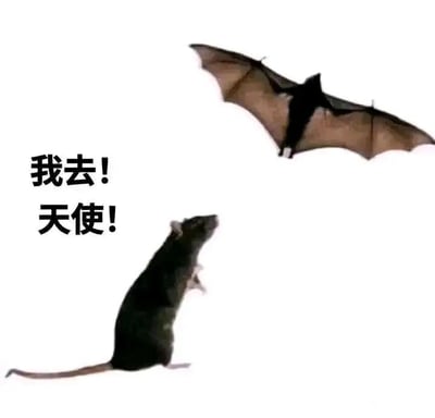 暂无描述