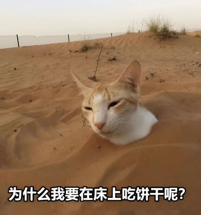 图片中一只橘白相间的猫咪头部和颈部从金黄色的沙子中探出，双眼半眯，表情带着一丝困惑与无奈。背景是沙漠环境，远处有稀疏的草丛和围栏，隐约可见水域。图片底部配有文字“为什么我要在床上吃饼干呢？”，通过猫咪埋在沙中的场景与文字内容形成幽默反差，营造出一种事后懊悔又好笑的氛围。