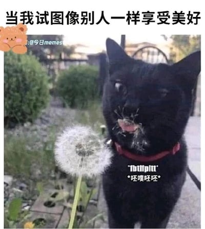 这是一张带有生活共鸣感的静态搞笑梗图，画面主体是一只戴着红色项圈的黑猫，它身处户外环境，凑在一朵蒲公英旁边，嘴巴周围沾满了蒲公英的白色绒毛，眉头皱起，表情看起来十分嫌弃，同时做出吐东西的动作，配文“*呸噗呸呸*”模拟它嫌弃的声音。图片顶部配有文字“当我试图像别人一样享受美好”，用猫咪尝试体验吹蒲公英的美好却弄了一嘴绒毛、狼狈嫌弃的场景，生动调侃了很多人试图模仿他人享受惬意生活，结果却遭遇尴尬、体验糟糕的经历，精准戳中大众的生活共鸣点，风格幽默接地气。