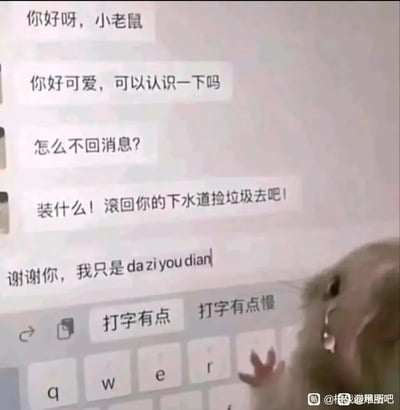 这是一张充满反差感的搞笑梗图，画面呈现了一段戏剧性的对话：消息发送者起初友好地称呼对方“小老鼠”，夸赞其可爱并请求认识，见对方迟迟未回复，立刻暴怒辱骂对方；而实际上，被称为小老鼠的卡通形象正用小爪子在手机键盘上缓慢打字，输入框里显示着未打完的拼音“da zi you dian”，输入法候选词是“打字有点慢”，它还没来得及解释就遭到了辱骂，形成了极具戏剧性的搞笑反差，生动展现了沟通中因回复慢引发的误会，以及急性子带来的尴尬场景，让人忍俊不禁。