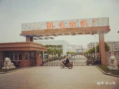 一张工厂大门的照片，大门上方有一个红色招牌，写着“阴毛纺织厂”几个大字。大门前有一个人骑着摩托车驶过，两侧各有一尊石狮子雕像。图片存在明显的双关谐音梗，利用厂名制造不雅联想。