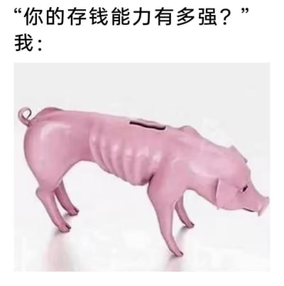 这张梗图以幽默的方式表现了自己存钱能力很差。图片上方有问题：“你的存钱能力有多强？”，下方配图是一只非常瘦弱、肋骨突出的小猪储蓄罐，象征存不下钱。整个画面形成鲜明反差，强调了自己的“存钱无力”，是一种典型的自嘲和自黑类网络梗。没有明显的双关或谐音梗，但“猪”与“存钱罐”具有抽象的象征意义。
