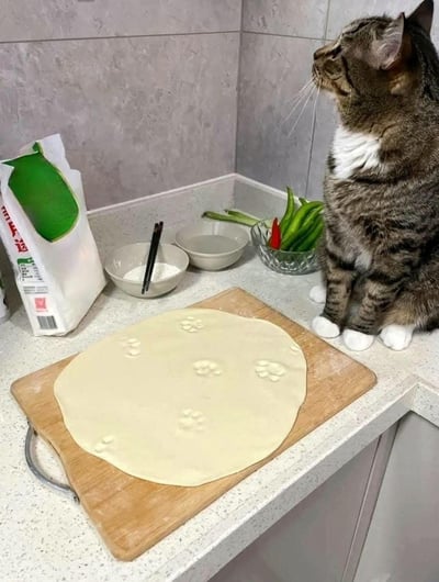厨房的白色台面上，一只长着白手套爪子的狸花猫蹲在边缘，它身旁的案板上放着一张擀好的面皮，上面被按了好几个清晰的猫爪印。台面上还摆着面粉袋、盛有面粉和清水的小碗，以及装着青红椒的玻璃碗，猫咪扭头看向别处，仿佛在佯装和自己无关，画面充满了搞笑又可爱的氛围。