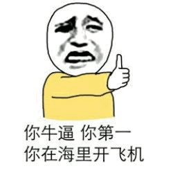 你牛逼你第一 海里开飞机表情包