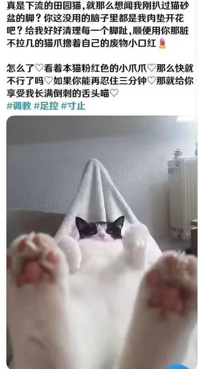 图片上半部分是拟人化的傲娇猫咪独白文字，内容充满戏谑感：先“训斥”主人想闻自己刚扒过猫砂盆的脚，要求清理脚趾并用猫爪撸口红，接着用带有爱心符号的语气调侃主人看着自己粉红色小爪爪“不行了”，承诺忍住三分钟就给“长满倒刺的舌头”的享受，末尾带#调教 #足控 #寸止 标签。下半部分是一张真实猫咪照片，猫咪仰卧着，身上盖着白色毛巾，只露出黑白相间的脑袋和两只抬起的白色爪子，粉色肉垫清晰可见，整体营造出猫咪“居高临下”调侃主人的搞笑场景。