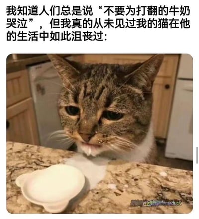 这是一张搞笑宠物梗图，上方配文引用俗语“不要为打翻的牛奶哭泣”，转折调侃自家猫因为食物/牛奶洒了而异常沮丧。图中的狸花猫眼神低垂、表情低落，嘴角挂着白色液体，看起来像在“哭泣”，面前的台面上是空猫碗和洒出的白色液体，用真实猫咪的沮丧状态和俗语形成反差，制造出搞笑又共情的效果，精准戳中人们失去心爱事物时的心情。