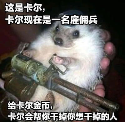 图片中是一只戴着小型军帽的刺猬，它被人用手托着，前爪抱着一把玩具枪。图片上方配有文字“这是卡尔，卡尔现在是一名雇佣兵”，下方文字为“给卡尔金币，卡尔会帮你干掉你想干掉的人”。这张图通过将可爱的刺猬与雇佣兵的身份进行反差萌搭配，创造出幽默搞笑的效果。