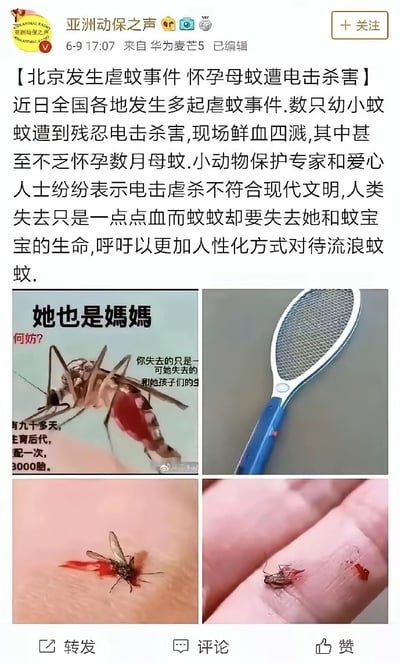这是一张微博社交媒体截图，账号“亚洲动保之声”发布了一则反讽性质的内容，谎称存在“虐蚊事件”，称怀孕的母蚊被电蚊拍击杀，模仿极端动保的发言逻辑声称人类仅仅损失一点血，而蚊子失去的是自己和蚊宝宝的生命，还荒谬呼吁要人性化对待“流浪蚊子”。配图共有四张，第一张是吸饱血的蚊子，配文“她也是媽媽”“你失去的只是一点血可她失去的是和她孩子们的生命”，第二张是蓝色手柄的电蚊拍，第三、第四张是被拍死在人类皮肤上、周围带有血迹的死蚊子，整体内容用夸张荒诞的方式讽刺不切实际、忽视人类正常权益的极端动物保护言论。