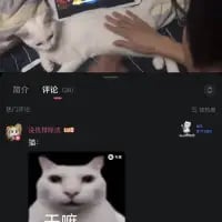 网络热门表情包