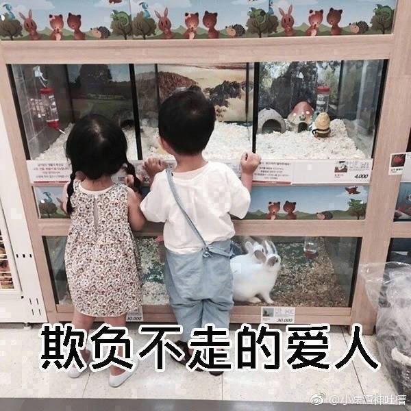 权律二与小伙伴看兔子 配文'欺负不走的爱人'