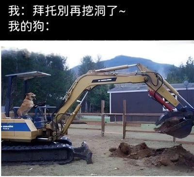 这张梗图用幽默的方式展现了宠物主人与狗狗之间的有趣矛盾。图片上方文字写着"我：拜托别再挖洞了~ 我的狗："，下方则是一张照片：一只黄色的狗坐在小型挖掘机的驾驶座上，前爪放在操作杆上，看起来正在认真地操作挖掘机挖洞，铲斗里还装满了泥土。这种夸张的对比产生了强烈的喜剧效果，暗示狗狗挖洞的欲望非常强烈，甚至会动用"重型机械"来满足自己的天性。