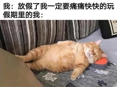 这是一张图文混排的静态梗图，上方文字分为两部分，第一部分“我：放假了我一定要痛痛快快的玩”，表达了多数人在放假前对假期的期待，满心计划着要尽情享受假期、出门玩乐；第二部分“假期里的我：”则引出下方的画面——一只橘色猫咪仰躺在带有花纹的沙发上，头靠在一个小物件上，双眼紧闭，四肢随意舒展，正睡得十分香甜放松。这张图用猫咪慵懒熟睡的状态，生动又幽默地展现了很多人假期的真实状态：并没有按照计划出门玩乐，而是宅在家里躺着休息、睡懒觉，精准戳中大众的假期体验，通过“计划vs现实”的反差感制造笑点，引发共鸣。