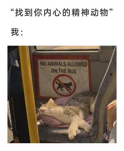 暂无描述