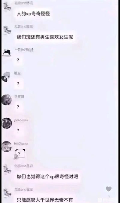这是一张群聊记录搞笑截图，首先有群友发言称“人的xp奇奇怪怪”，随后另一名群友接上表示“我们班还有男生喜欢女生呢”，把异性恋这种常规性取向调侃成罕见奇怪的性癖，引发后续多名群友先后发出问号表示不解，发言的群友还误以为大家也认同他的看法，继续称“你们也觉得这个xp很奇怪对吧”，最后还感慨“只能感叹大千世界无奇不有”，通过违背常识的认知反差来制造笑点。