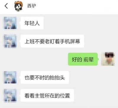 暂无描述
