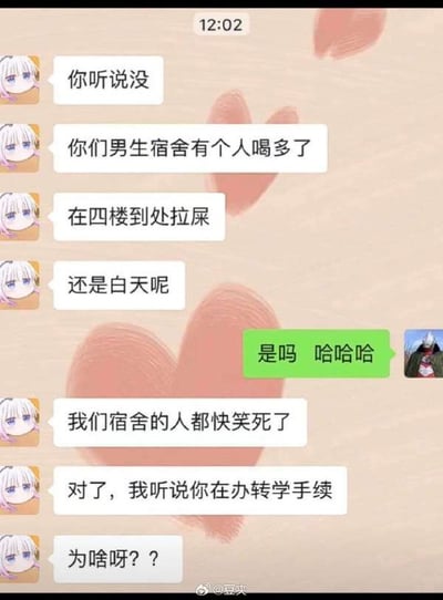 这是一张聊天记录截图，背景为浅棕色并带有粉色心形图案。左侧用户使用粉色头发动漫头像，连续发送消息讲述男生宿舍趣事：一名男生喝多后在四楼白天到处拉屎，引发其宿舍众人爆笑；随后询问对方是否在办理转学手续及原因。右侧用户使用深色服装人物头像，以绿色对话框回复“是吗 哈哈哈”表示调侃。整体氛围轻松搞笑，展现校园生活中的幽默瞬间。