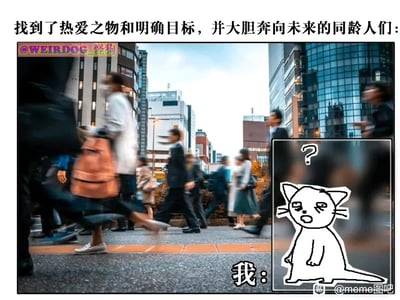 这是一张自嘲式的meme梗图，通过强烈的对比展现当代青年的迷茫焦虑。画面主体是在都市街头步履匆匆、方向明确的行人，代表着找到了人生热爱与目标、正积极奔赴未来的同龄人；右下角的小框内是一只头顶问号、眉头紧皱的简笔画猫，被标注为“我”，生动刻画出自己在同龄人都有清晰人生方向时，却陷入迷茫、不知所措的状态，精准戳中了许多在人生路口徘徊的年轻人的内心，引发强烈共鸣。