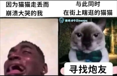这是一张左右分栏的对比式恶搞梗图，左侧展示了一位黑人男性仰头崩溃大哭的画面，配文“因为猫猫走丢而崩溃大哭的我”，生动表现出宠物主人发现猫咪走失后极度伤心、焦急的情绪；右侧则是一只戴着深色领结的暹罗猫，上方配文“与此同时 在街上瞎逛的猫猫”，下方还有醒目的恶搞文字“寻找炮友”。整幅图通过主人的焦急崩溃与猫咪的“放飞自我”形成强烈反差，用荒诞的恶搞设定制造幽默效果，调侃了宠物和主人之间的认知差异——主人因丢失宠物万分担忧，而猫咪却在外面有着完全不同的“社交”计划。
